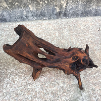 ��ľ����֮����������Ȯ����ǣ�2��