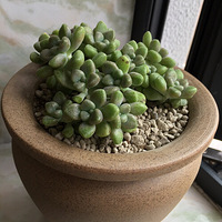 �����»�����������û��ס��