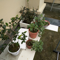 ��������Щ������������أ�