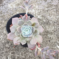 �������Ķ������ǿ....