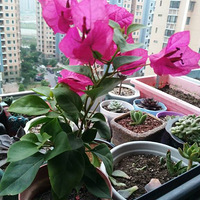 ��ׯ����������һ�һ����г���һ��ȥ�۸��