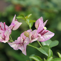 �����Ҽҵ�����÷���¼�