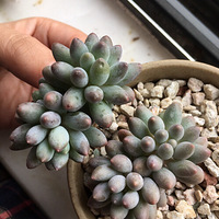 ���ҵ���ָ������������