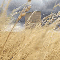 ǻ7˸Сãû깤ͱʦһѻ