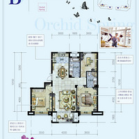 ǵСղҿװ֮·--·ϴ죬Լ