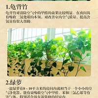 ԰ڷŵ24Ȼ