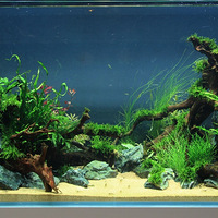 ̨��Ʒ������ȫ����׵�����㡰������ʵ�ܼ򵥡�