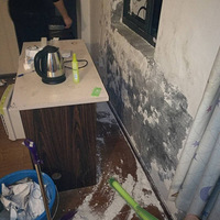 ���ݳ����ڰ������ã��������������