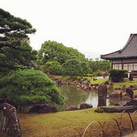 ������ʲô���ã���ǰ��ͥԺ����ʲô����