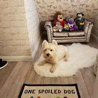 ����DIY�Ĺ��Ѿ����ҷ��䶼�ã���ֱ����˲��繷