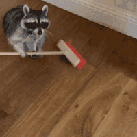 ˶濴ȫĴɨԣ