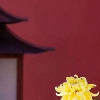 ��Ժ�ӵ���һ���������ʽͥԺ�޷��ܾ�����