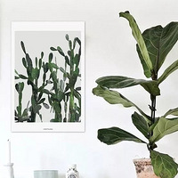 ��˵�ÿ��ļң���ֲ����ô��...�����¼�ҲҪ���Ư����