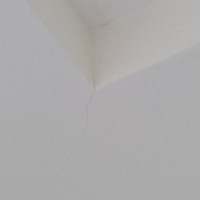 ��Ұ��ҿ��£�����������̫������