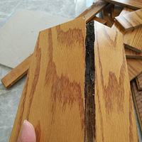 ̼Դγ ˵˵ҼٰֳĿԵذ