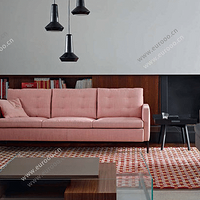 LIGNE ROSETҾߣȱҪءй