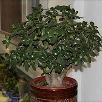 5ּҾֲҲҪûؼңҼҺ͸