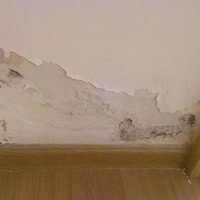 һ�����������©ˮ���ھ������ţ��������ޣ���ˮ�ڼв��