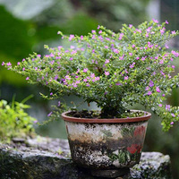 ����ֲ��ע���⼸�㣬�û���������ʢ���򵥱��裡