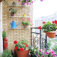 ��̨��һ���죬����ھ���Ľ��С��԰��