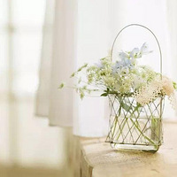 ����ѧ�ļҾӲ廨�����ָ���Ĵ�����Щ�ʰɣ�