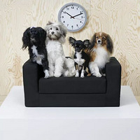 С����Ҳ�пɰ��ļң�7�����ֵ�����ʵĳ���Ҿ�