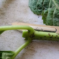 ����Ļ���͸�ˣ����ӣ�����һ�У�����"��������"