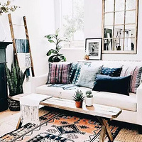 ĸ��ͬ����Ѫ��������������£�����Ȧ���ڴ���