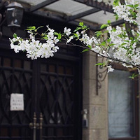 ������ɹ���¼Ҿߺ�Ӱ���Ÿ���·������ͣЪ��