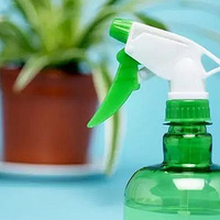 ˮ��ӵ����������ֲ��ʮ�궼����Ҷ��̫������