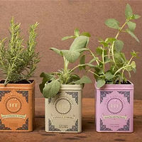 ����ʲô���裿����һ��Ǯ���ü�����ֵ������