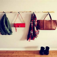 ����������Ҫѧѧ��̬�ձ�������3����