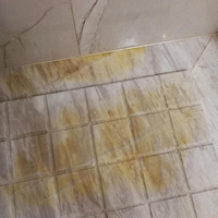 ʯ  ǧȥݴʯҵ   Ѫʷ