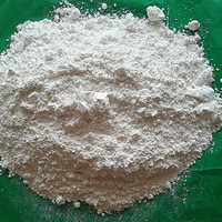 С˵װNO.17ҪСģɫƤѾëˣ