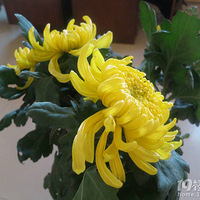 �칫�һ��ܰڷ�����Щע�����