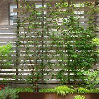 ���Ĵ���¶̨��������Ϊ������޵Ľ��䣡