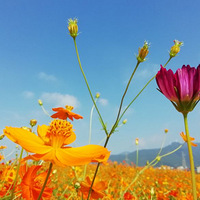 ����װ���ҿ���������