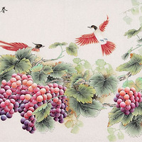 Թֻн黨񻭹ǽ