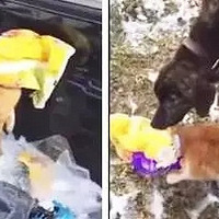 ���ﰲȫ֮�Ӽ�����ƪ