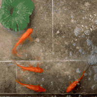 3000ԪˮأѼҸĳɿл԰