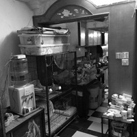 ����48�O�Ͼ�С������ʵ��ĸ��������42������ġ��˳�֮�ҡ�