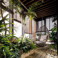 ̨һҪװȻֻĽھӼұҼҴ20O