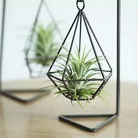 Ҫɴ챱ŷ磿6òֲֺ͹ˣ