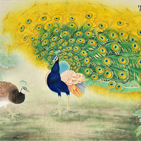 ҾǽfsװλͣƼܻӭĻ