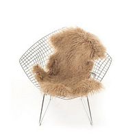 ŷ޽THE ORGANIC SHEEPƷơ֮