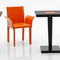 FABRIS ADRIANOӣʵһִҵʷ-й