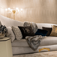 CASPANI TINOŷ޺ִݷҾϵ-й