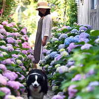 40ꡰݡнޣԼһ3000O ԰