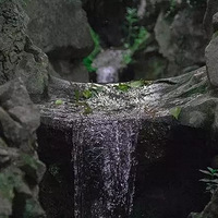 5��û���������Ѽ��ֽ�ɽ���䣬����������˼����������