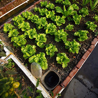 ����ô�ۣ�����ؼ��ֿò�